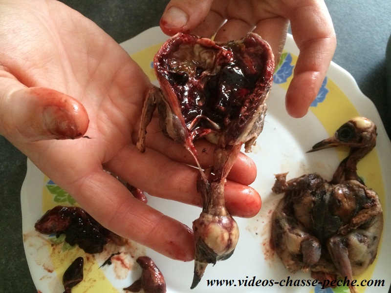recette grive crapaudine recette grive crapaudine